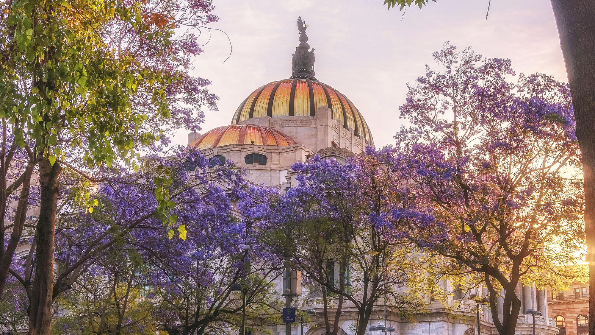 Beyond the Buzz: A Local Insider’s Guide to Mexico City